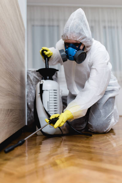 Professional Pest Control in County Center, VA